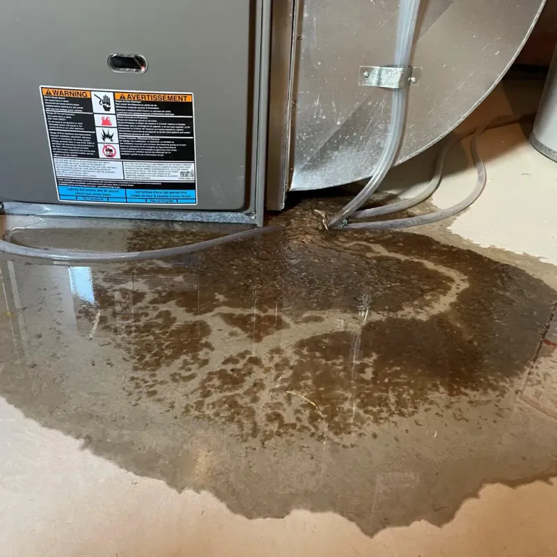 Appliance Leak Cleanup in Rainsville, AL